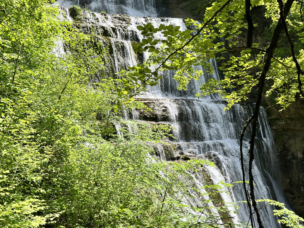 23-05-22 13-52-19 5556